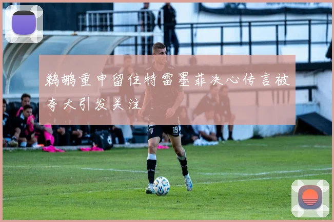 鹈鹕重申留住特雷墨菲决心传言被夸大引发关注