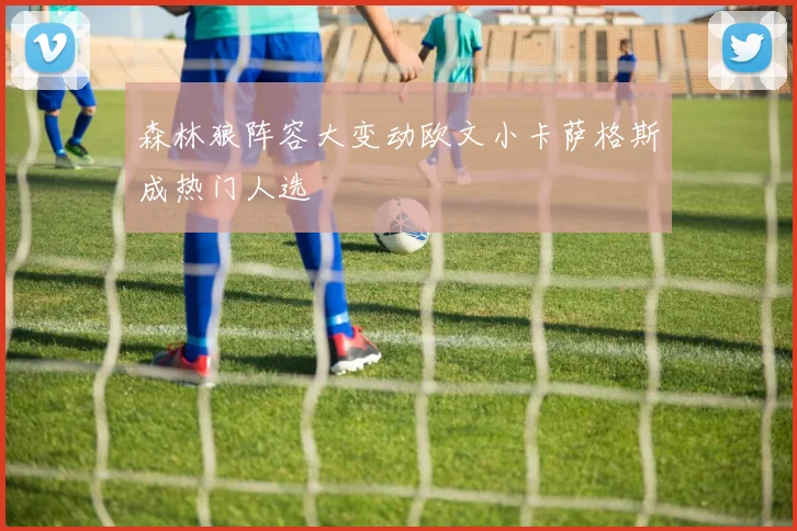 森林狼阵容大变动欧文小卡萨格斯成热门人选
