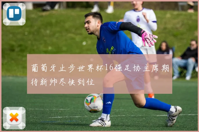 葡萄牙止步世界杯16强足协主席期待新帅尽快到位